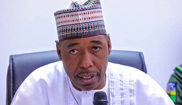 Gov. Zulum orders probe into alleged hijab harassment in Maiduguri hospitals